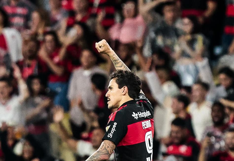 Pedro comemora gol do Flamengo contra o Estudiantes (Foto: Adriano Fontes/Flamengo)