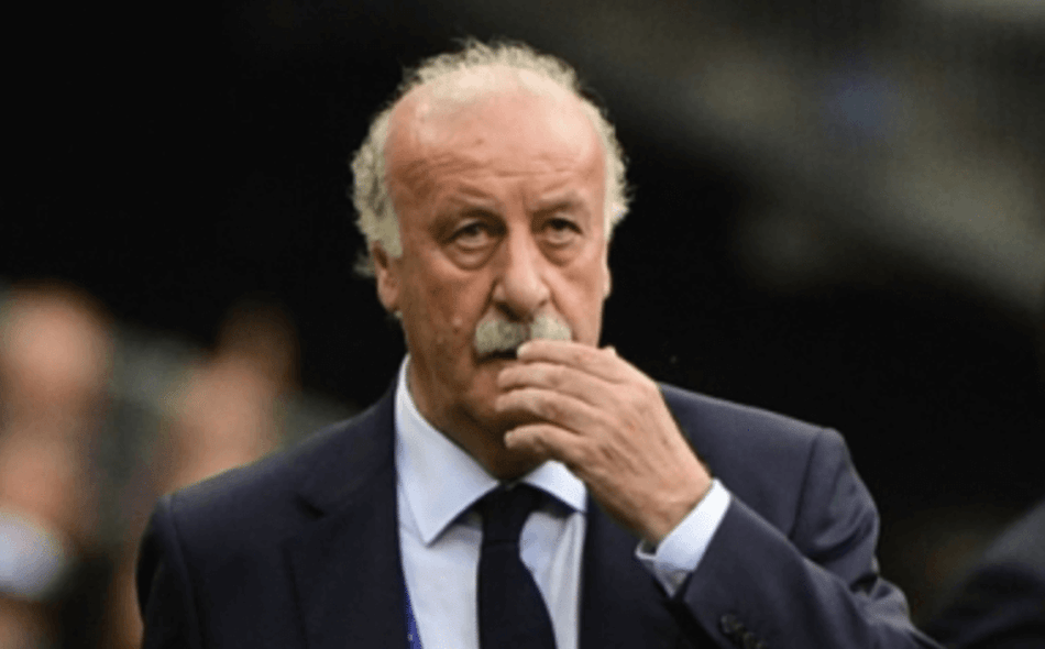Del Bosque - Foto: Pierre-Philippe Marcou : AF