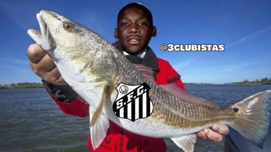 Veja os melhores memes da vitória do Palmeiras sobre o Santos
