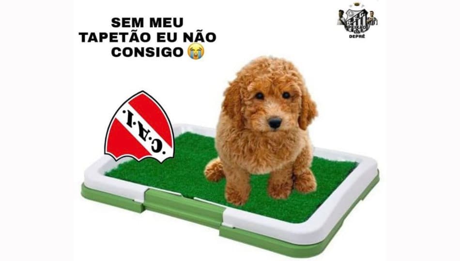 Classificação do Santos na Sul-Americana gera memes e provocações na web; confira