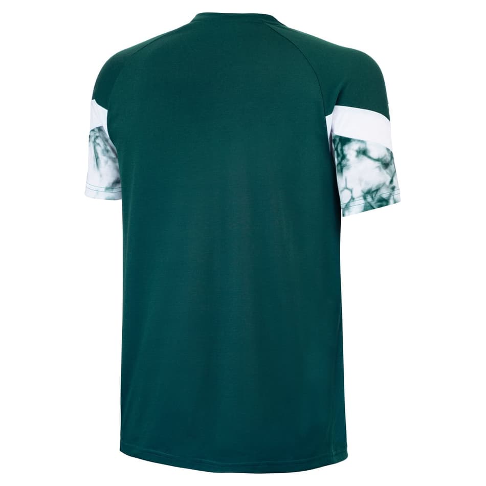 linha Palmeiras Iconic