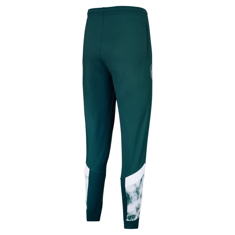 linha Palmeiras Iconic