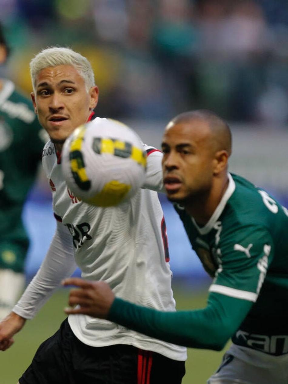 pedro flamengo palmeiras