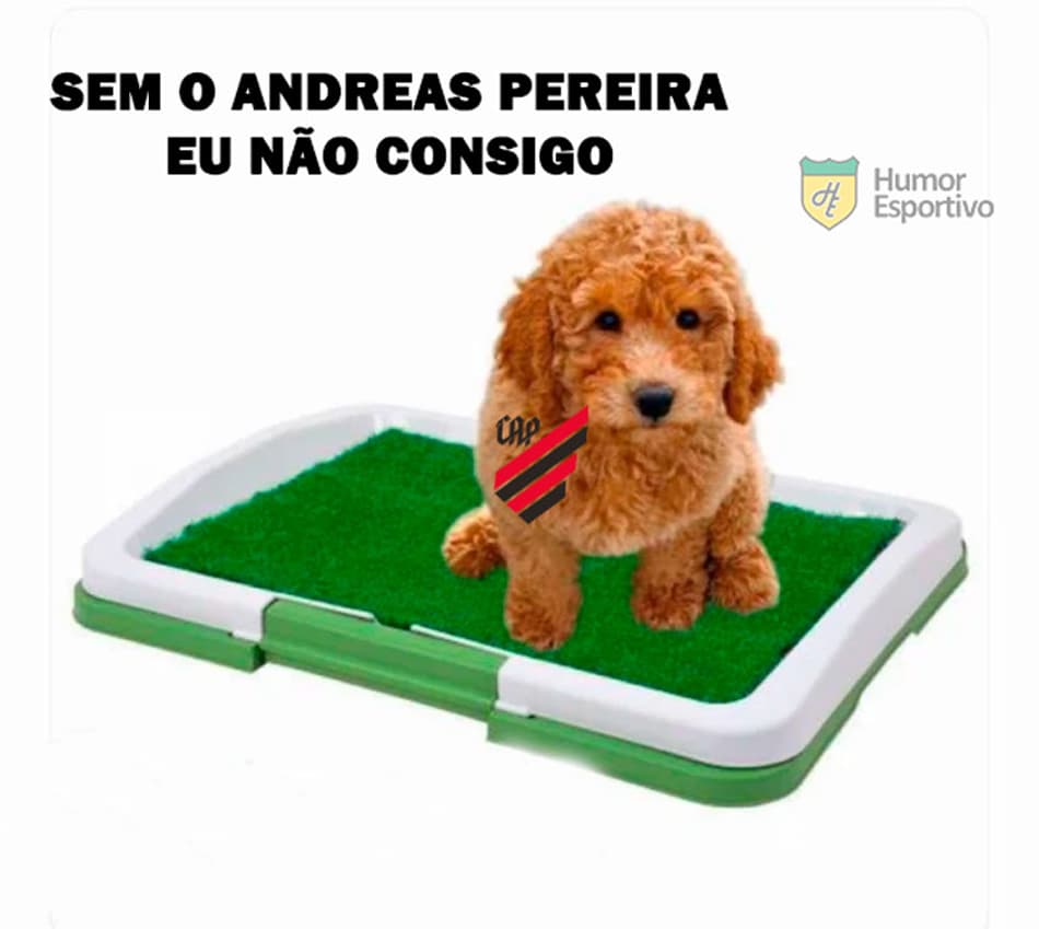 Memes do Flamengo tri da Libertadores