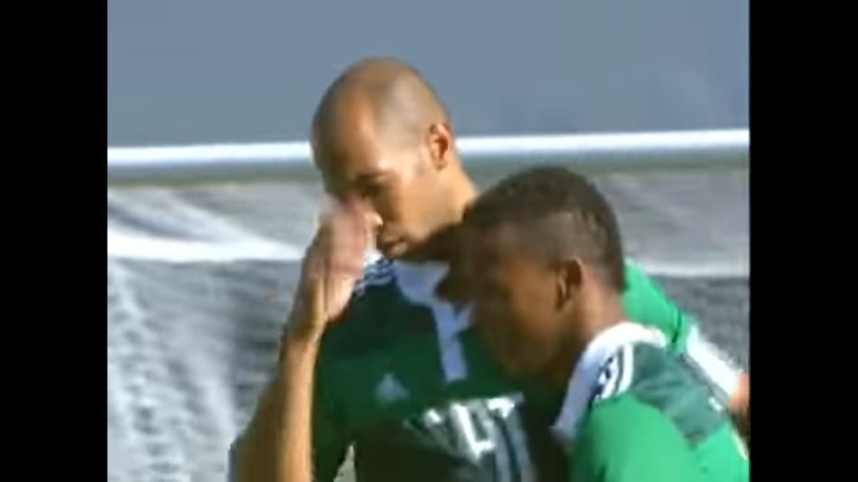 Dinei - Palmeiras 2010
