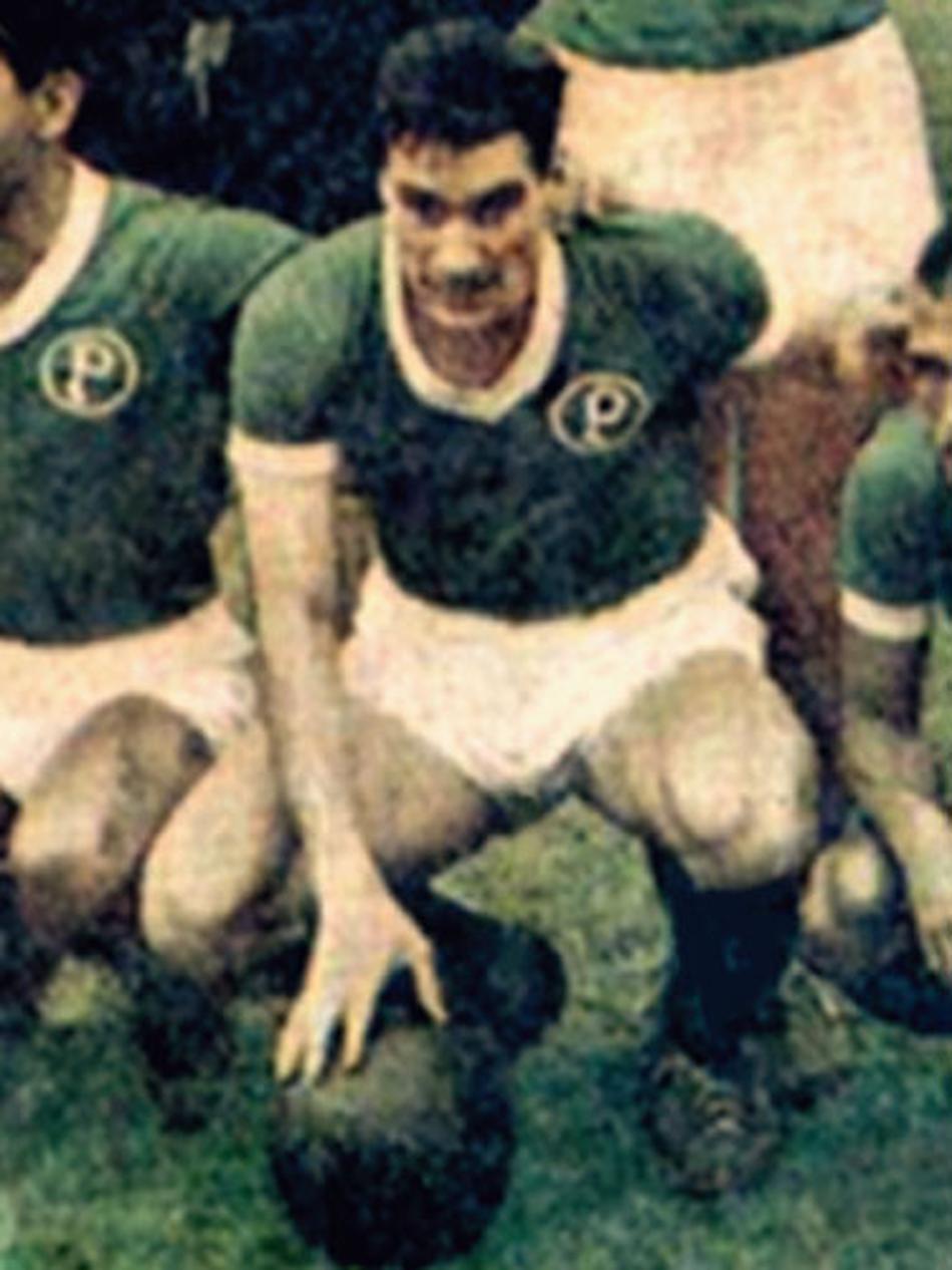 Montagnoli - Palmeiras