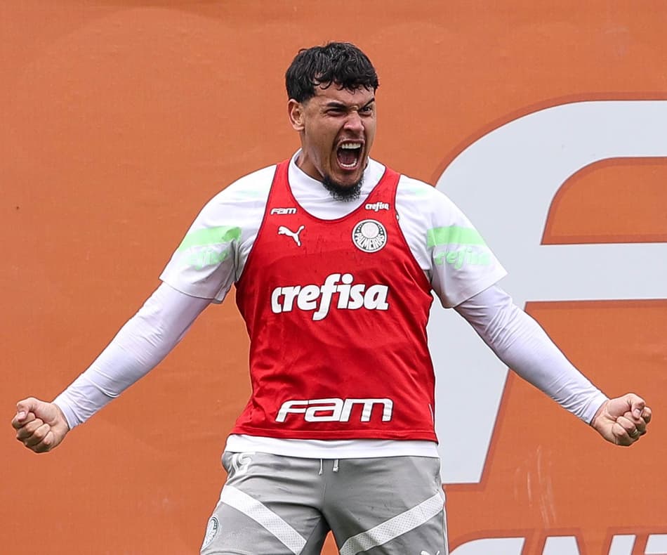 Gustavo Gómez
