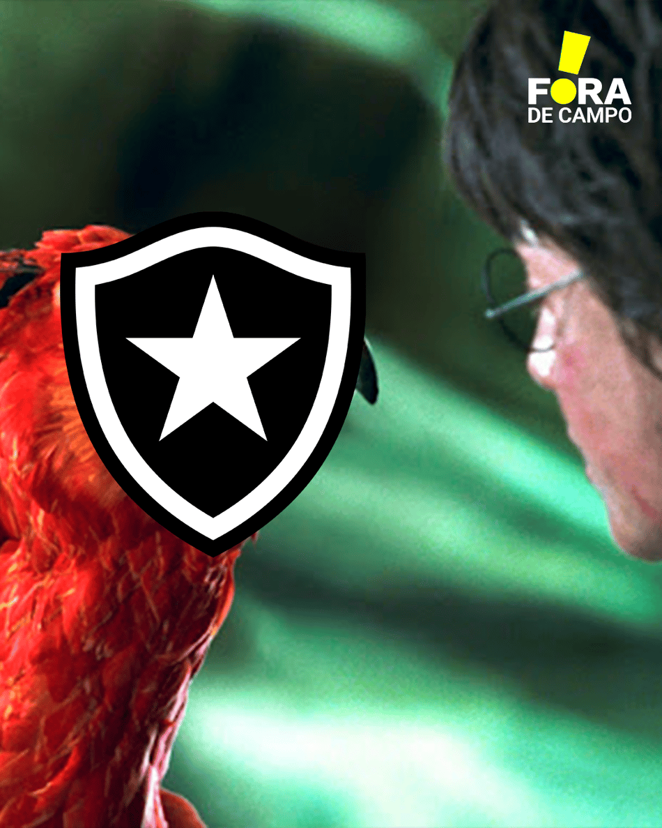 Botafogo renascendo das cinzas! Veja os memes desta rodada de Libertadores