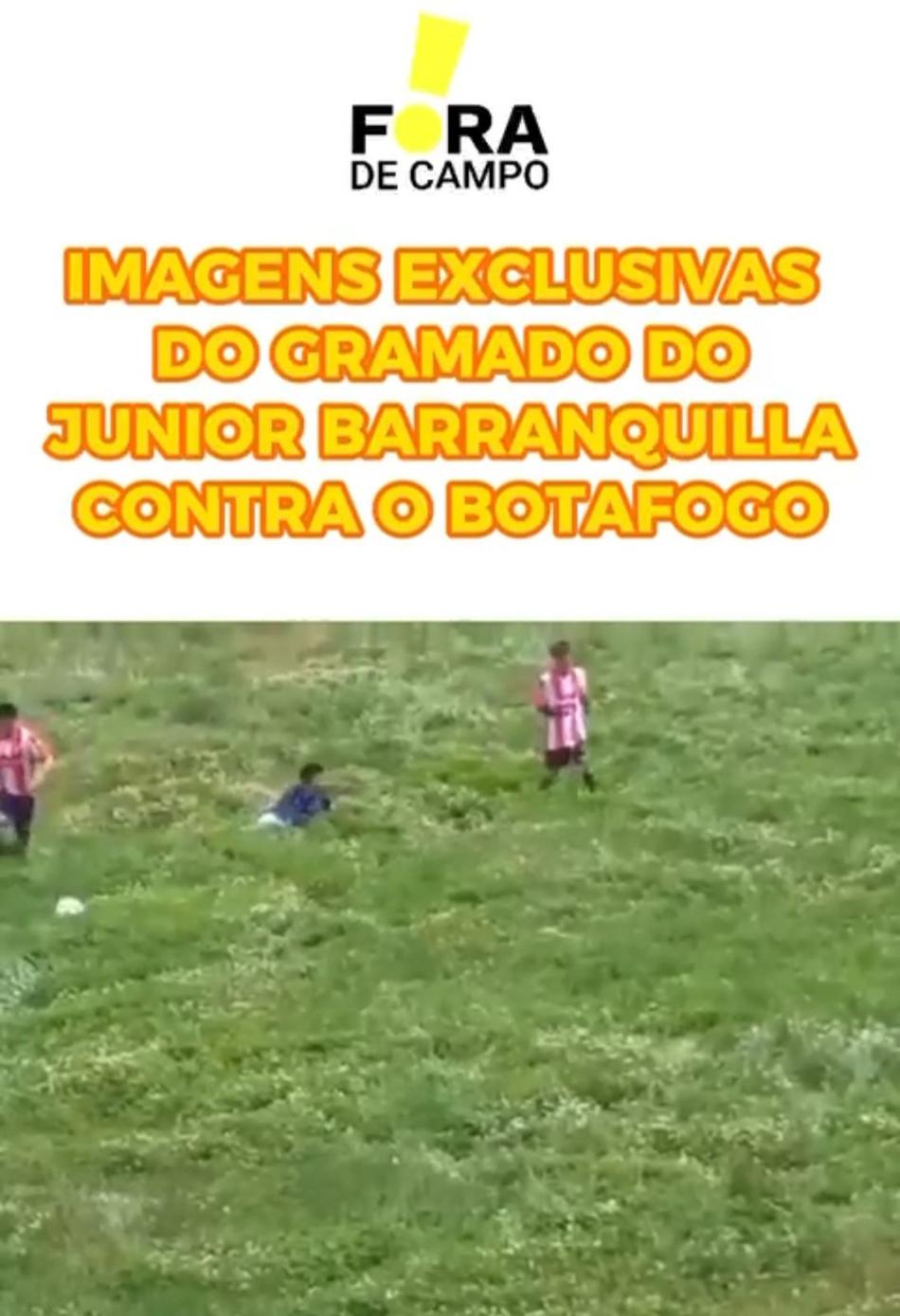 Show dos Tricolores, Corinthians nato… Veja os melhores memes dessa rodada da Sul-Americana e da Libertadores