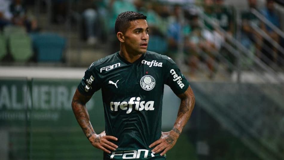 palmeiras