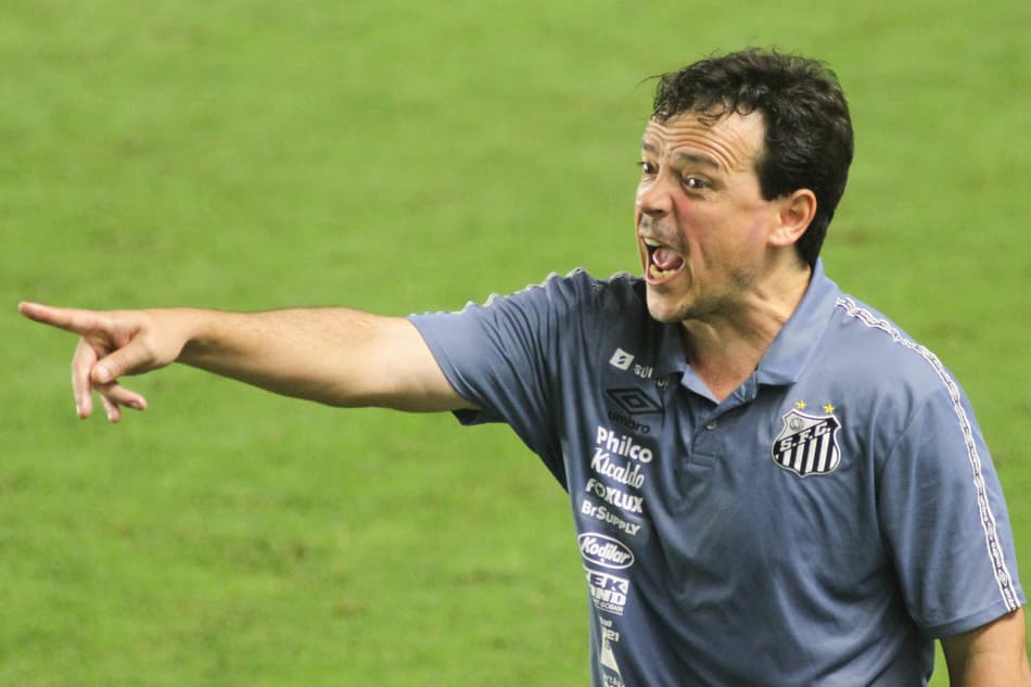 diniz-santos