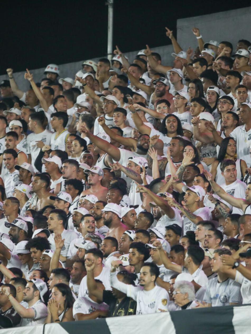Torcida do Santos comemora o gol sobre o Novorizontino. Foto: Reinaldo Campos/AGIF