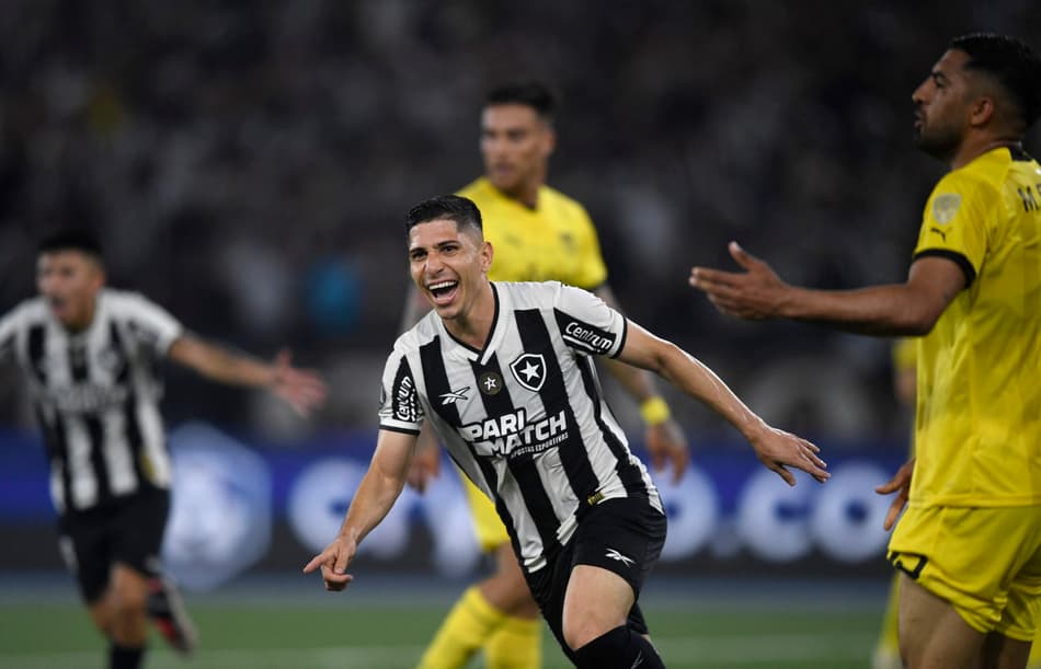 savarino-botafogo