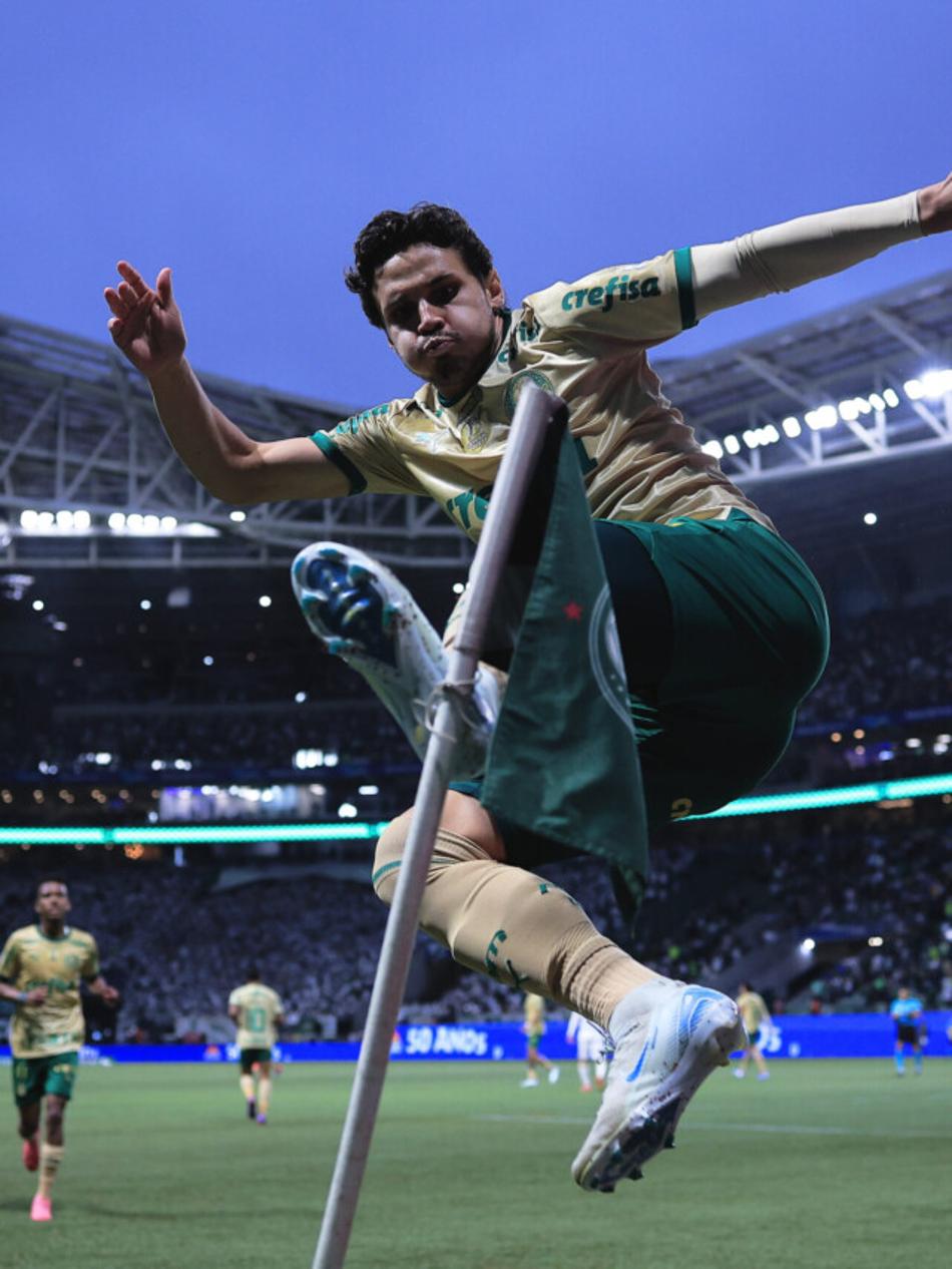BRASILEIRO A 2024, PALMEIRAS X CRICIUMA