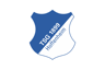 escudo hoffenheim