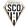 escudo angers