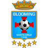 Escudo&#8211;BLOOMING