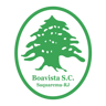 Escudo Boavista