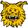 Ilves