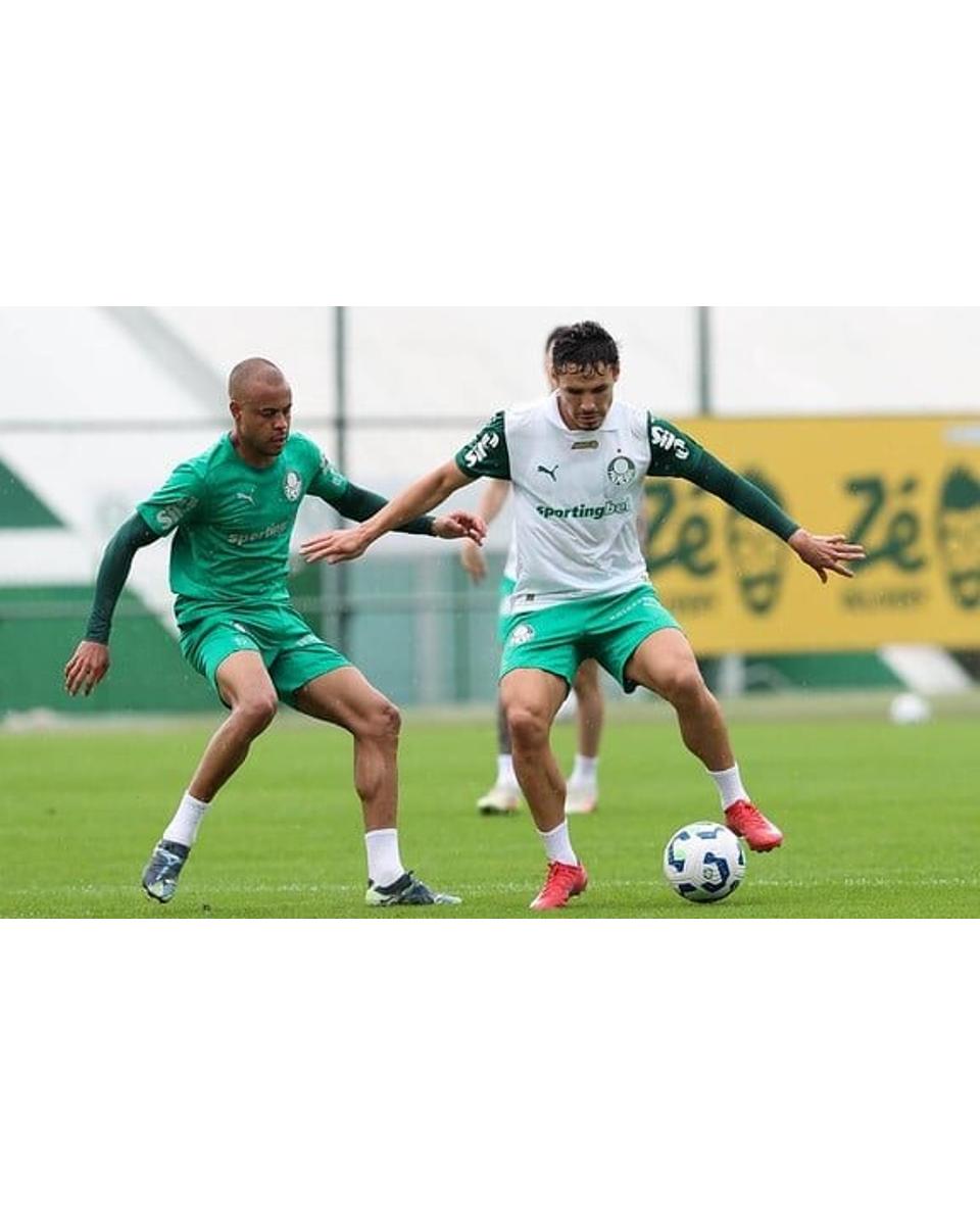 Palmeiras fecha preparação no Brasil e divulga lista de