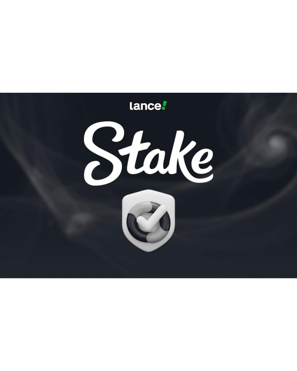 Stake casino image
