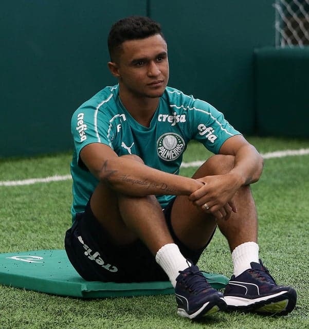Erik - Palmeiras