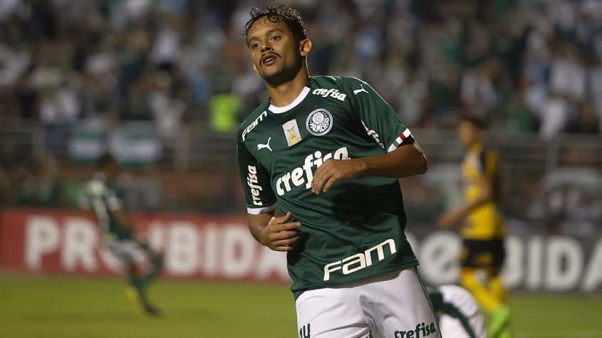 Palmeiras x Novorizontino Gustavo Scarpa