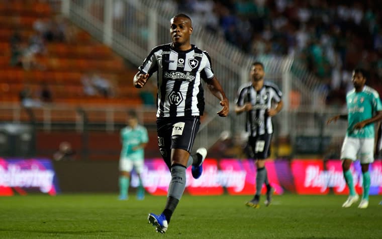 Palmeiras x Botafogo - Tanque