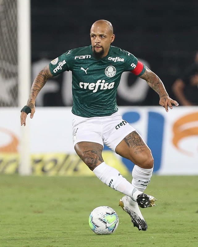 Botafogo x Palmeiras - Felipe Melo
