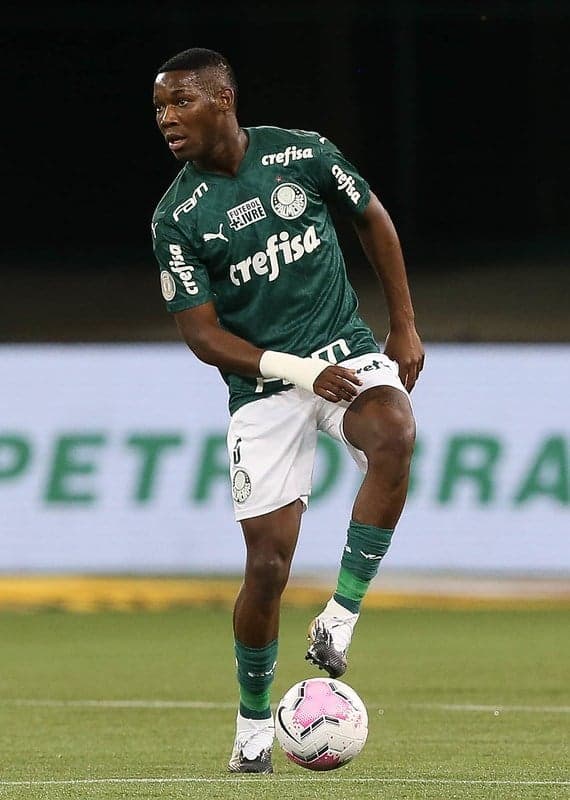 Patrick de Paula Palmeiras
