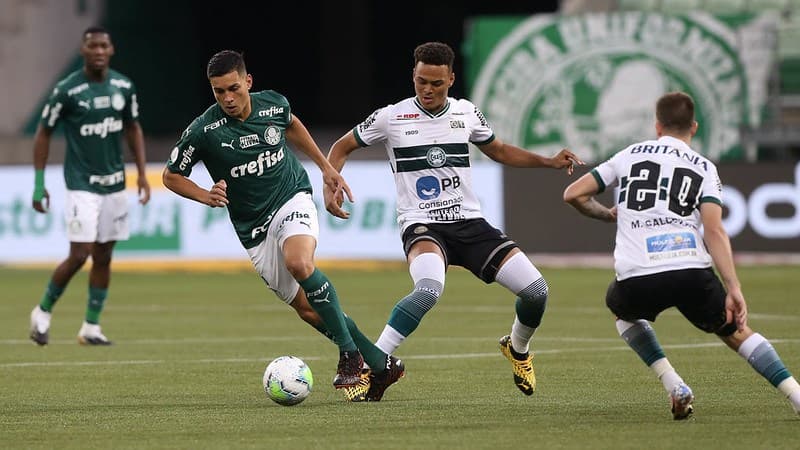 Renan Victor Palmeiras