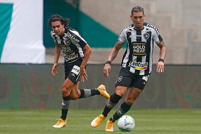 Rafael Navarro e Matheus Nascimento - Botafogo