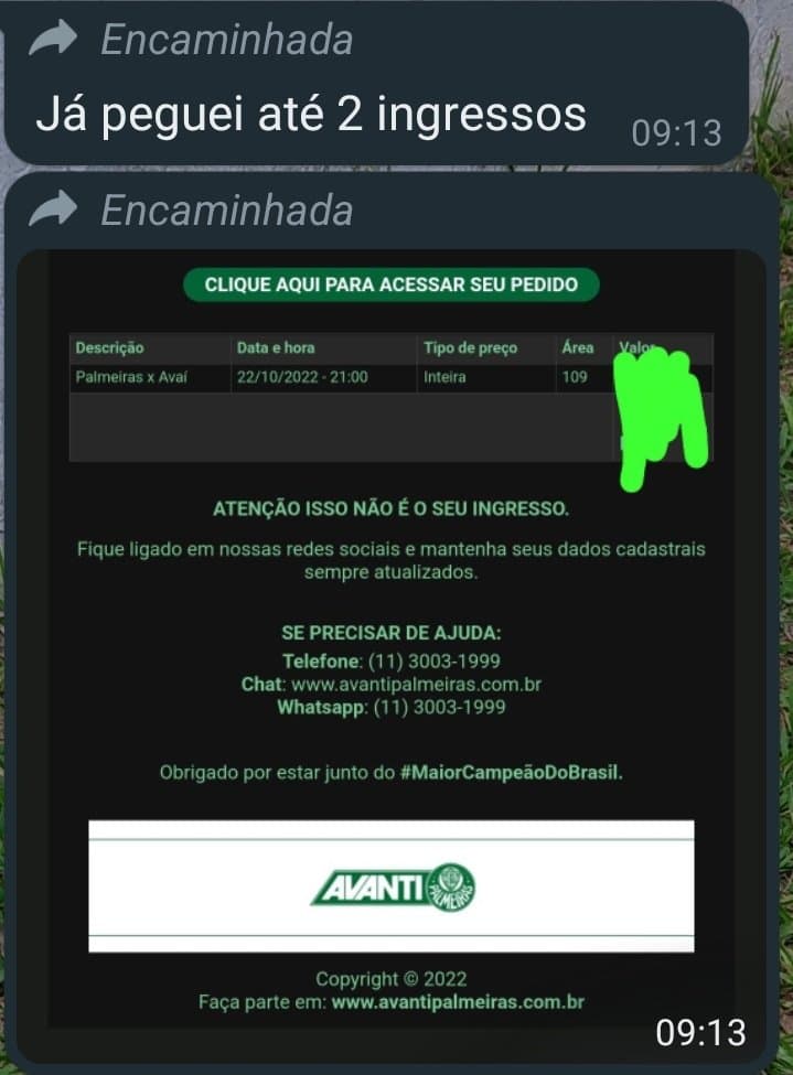 Falha no sistema de ingressos - Palmeiras (print)