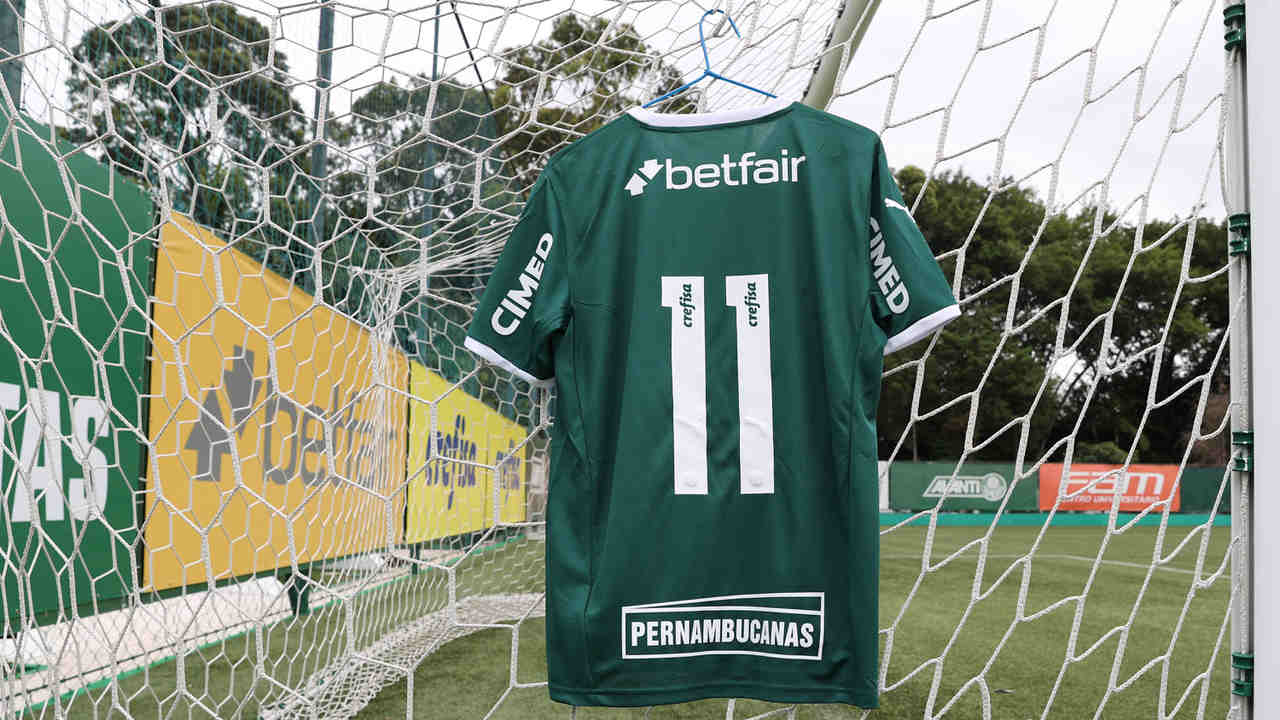 Camisa Palmeiras Feminino - Panamericanas