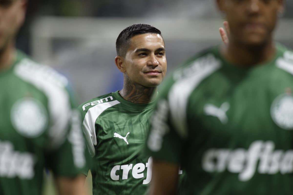 Dudu Palmeiras