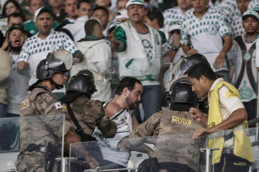 Cruzeiro x Palmeiras: mulheres e crianças poderão assistir de graça o  confronto no Mineirão; saiba mais