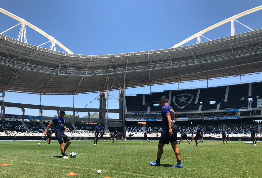 Contra o Goiás, Botafogo atingirá número histórico de público no Nilton  Santos em jogos pelo Brasileirão - Lance - R7 Futebol