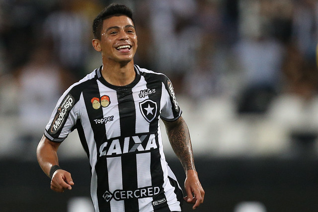 Contra o Goiás, Botafogo atingirá número histórico de público no Nilton  Santos em jogos pelo Brasileirão - Lance - R7 Futebol