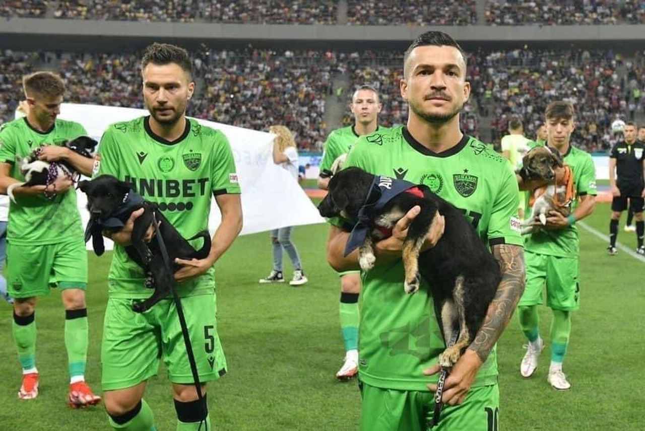 Jogadores entram em campo com cachorros de abrigo no colo; assista - Lance  - R7 Futebol