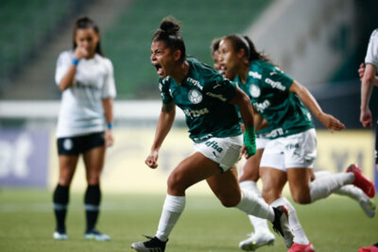 Palmeiras é campeão do Brasileirão 2023 após empate com Cruzeiro - TubaNews