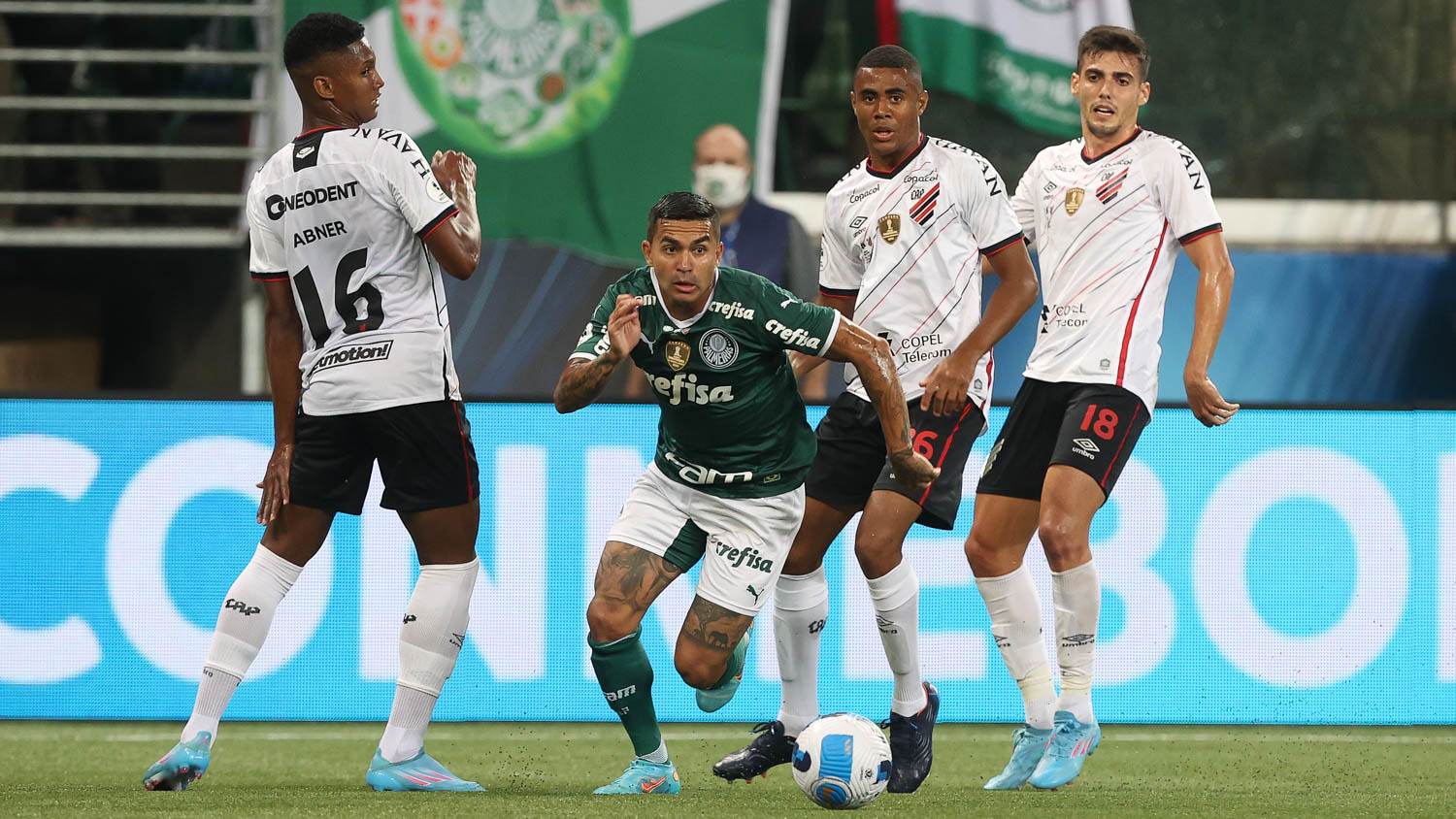 Palmeiras x Guarani: veja onde assistir, escalações, desfalques e