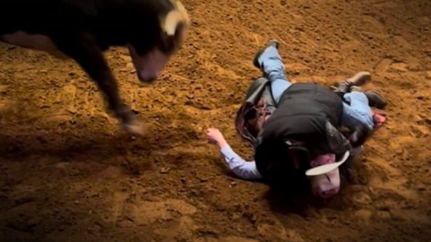 Peão morre após ser pisoteado por touro durante rodeio em São Paulo