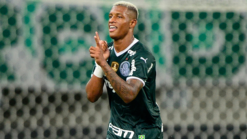 SE Palmeiras on X: AAAE, O MEU PALMEIRAS GANHOU! 🐷 Três clássicos e três  vitórias! Com gols de Raphael Veiga e Danilo, vencemos o Derby no Allianz  Parque e garantimos a liderança