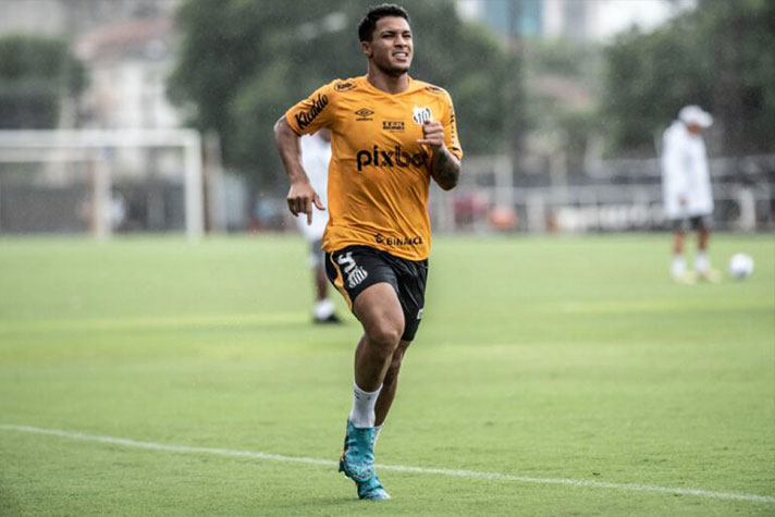 Santos avança em negociação pelo atacante Bryan Angulo - Gazeta Esportiva