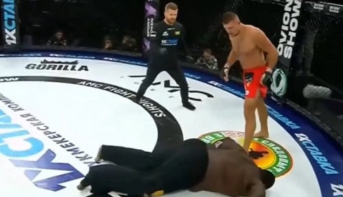 VÍDEO: Chimaev aplica soco brutal na costela e nocauteia parceiro de treino  em sessão de sparring