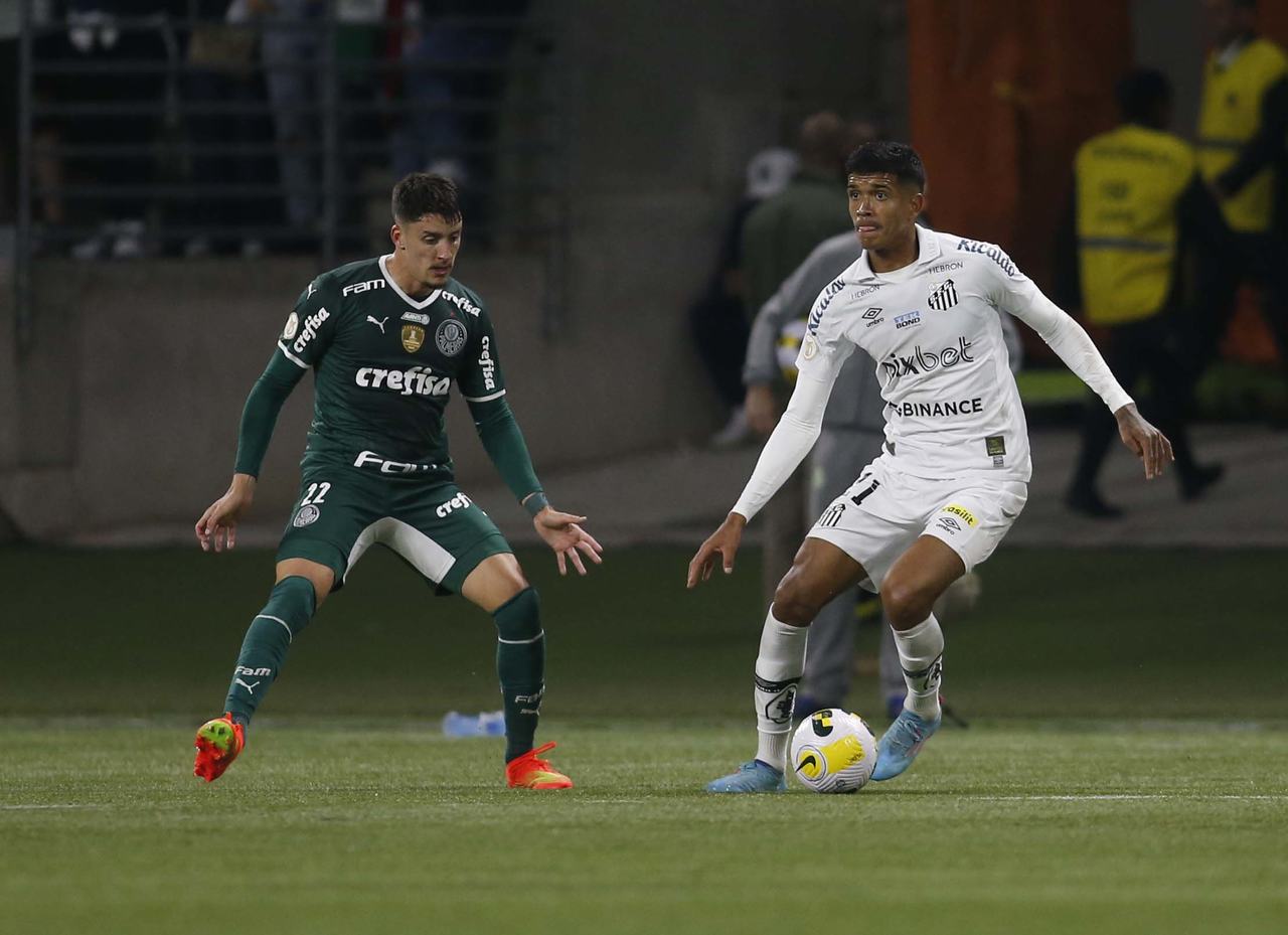 Palmeiras x Santos: saiba onde assistir à partida do Brasileirão - Gazeta  Esportiva