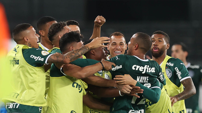 Doentes por Futebol - Quando você acha que será dessa vez que o Palmeiras  vai entregar, ele ressurge. A liderança do Brasileirão permanece! 🐷☝️ 📷  Cesar Greco, SE Palmeiras