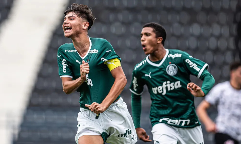 Doentes por Futebol - Quando você acha que será dessa vez que o Palmeiras  vai entregar, ele ressurge. A liderança do Brasileirão permanece! 🐷☝️ 📷  Cesar Greco, SE Palmeiras