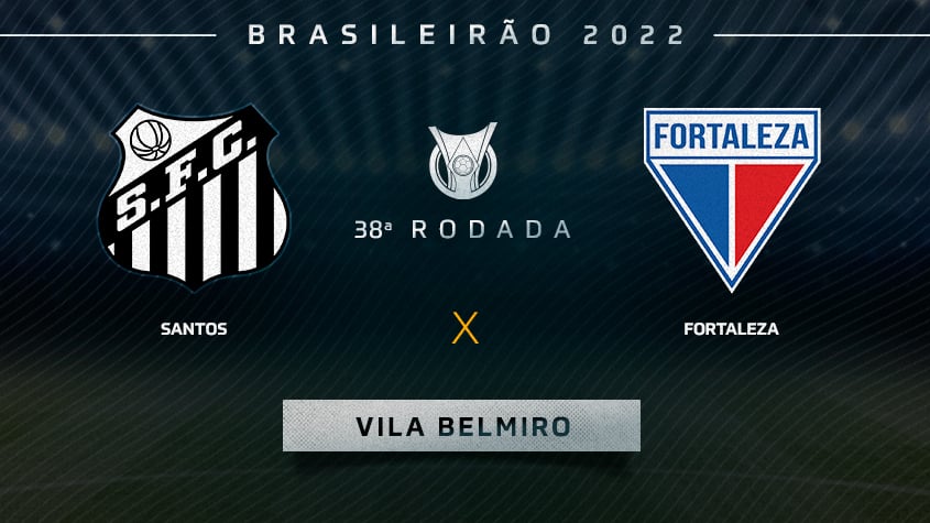 A grande campanha do Campeão - Santos Futebol Clube