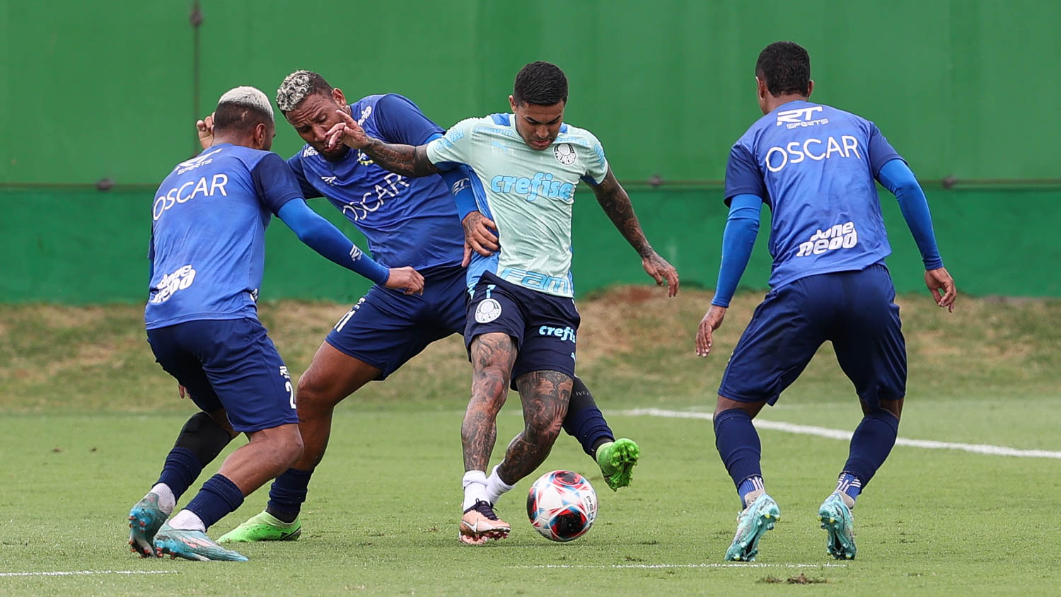 Rio Preto x Palmeiras: saiba onde assistir ao jogo pela Copinha